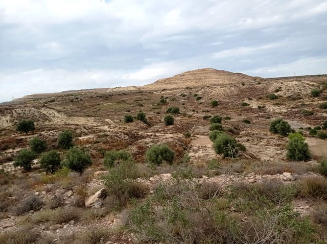 Finca/Landehus til salg i Torrellano, Elche / Elx - € 150.000 (Ref: 9449541)