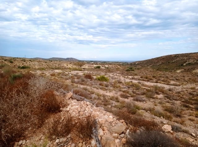 Finca/Landehus til salg i Torrellano, Elche / Elx - € 150.000 (Ref: 9449541)