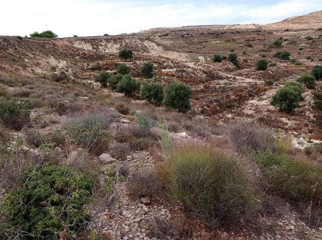 Finca/Landehus til salg i Torrellano, Elche / Elx - € 150.000 (Ref: 9449541)