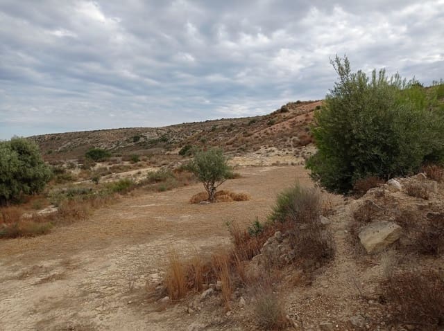 Finca/Landehus til salg i Torrellano, Elche / Elx - € 150.000 (Ref: 9449541)