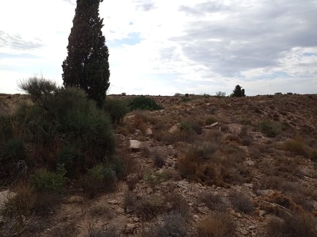 Finca/Landehus til salg i Torrellano, Elche / Elx - € 150.000 (Ref: 9449541)