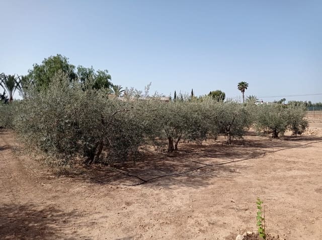 5 soveværelse Finca/Landehus til salg i Torrellano, Elche / Elx - € 184.500 (Ref: 9458433)