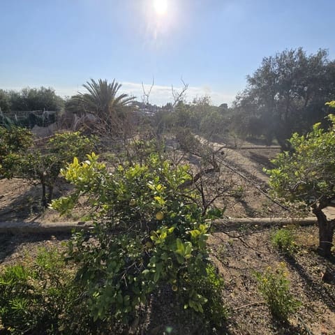 3 quarto Quinta/Casa Rural para venda em Torrellano, Elche / Elx com piscina - 251 000 € (Ref: 9547205)