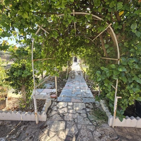 3 quarto Quinta/Casa Rural para venda em Torrellano, Elche / Elx com piscina - 251 000 € (Ref: 9547205)