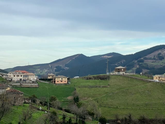 Byggegrund til salg i Cangas del Narcea - € 49.000 (Ref: 8893031)