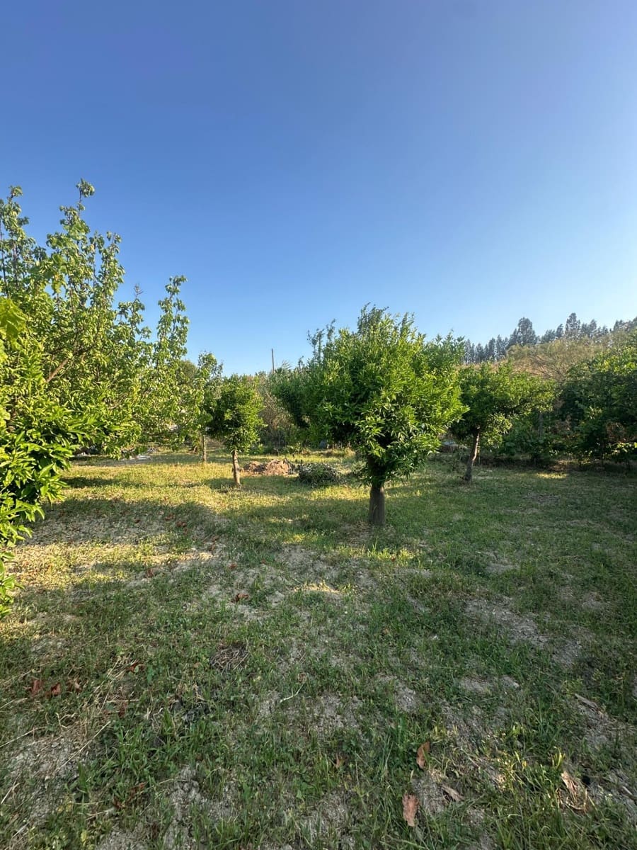 Finca/Casa Rural de 1 habitación en Olula del Río en venta - 53.000 € (Ref: 10021026)