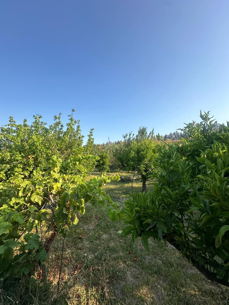 Finca/Casa Rural de 1 habitación en Olula del Río en venta - 53.000 € (Ref: 10021026)