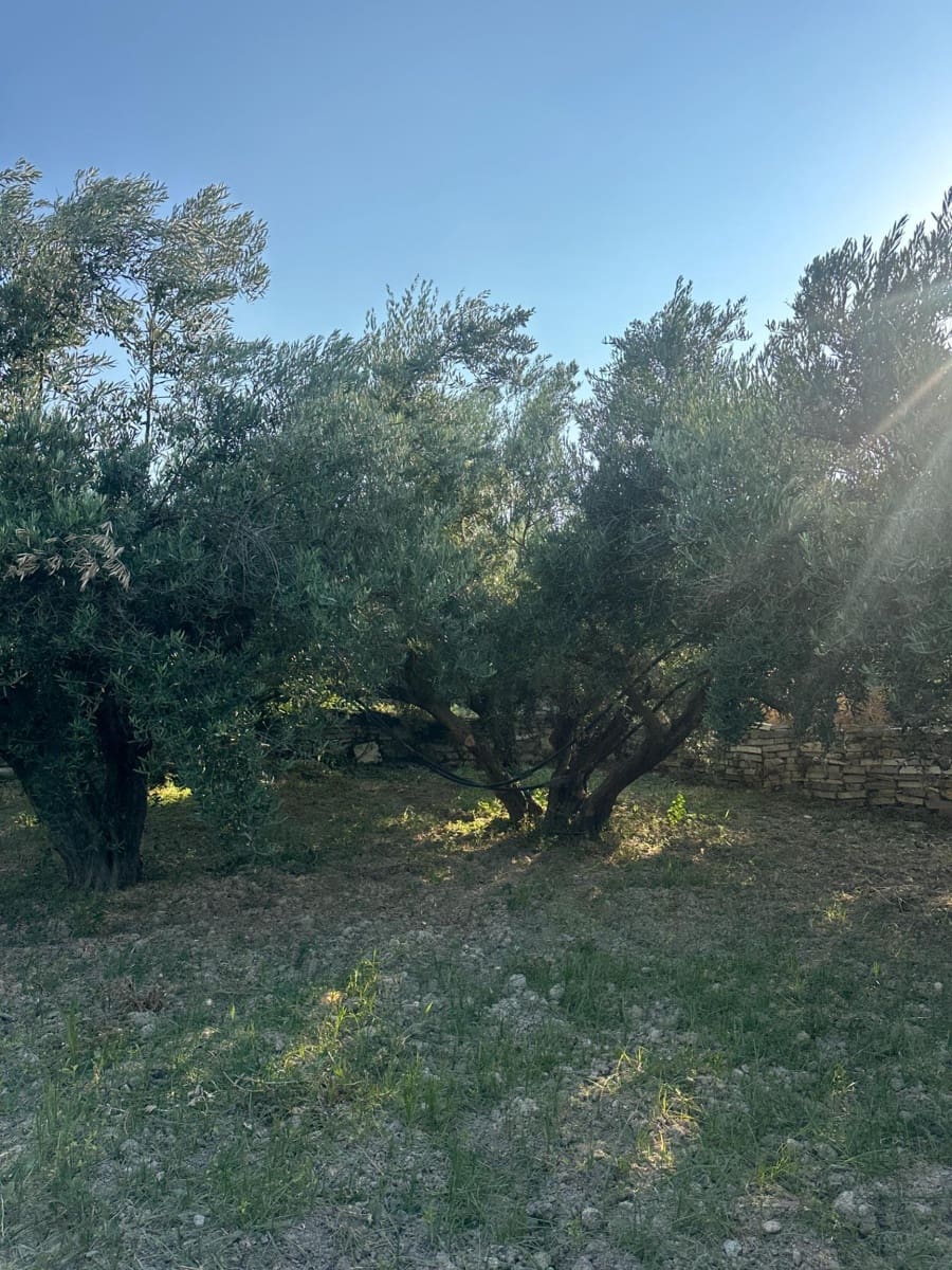 Finca/Casa Rural de 1 habitación en Olula del Río en venta - 53.000 € (Ref: 10021026)