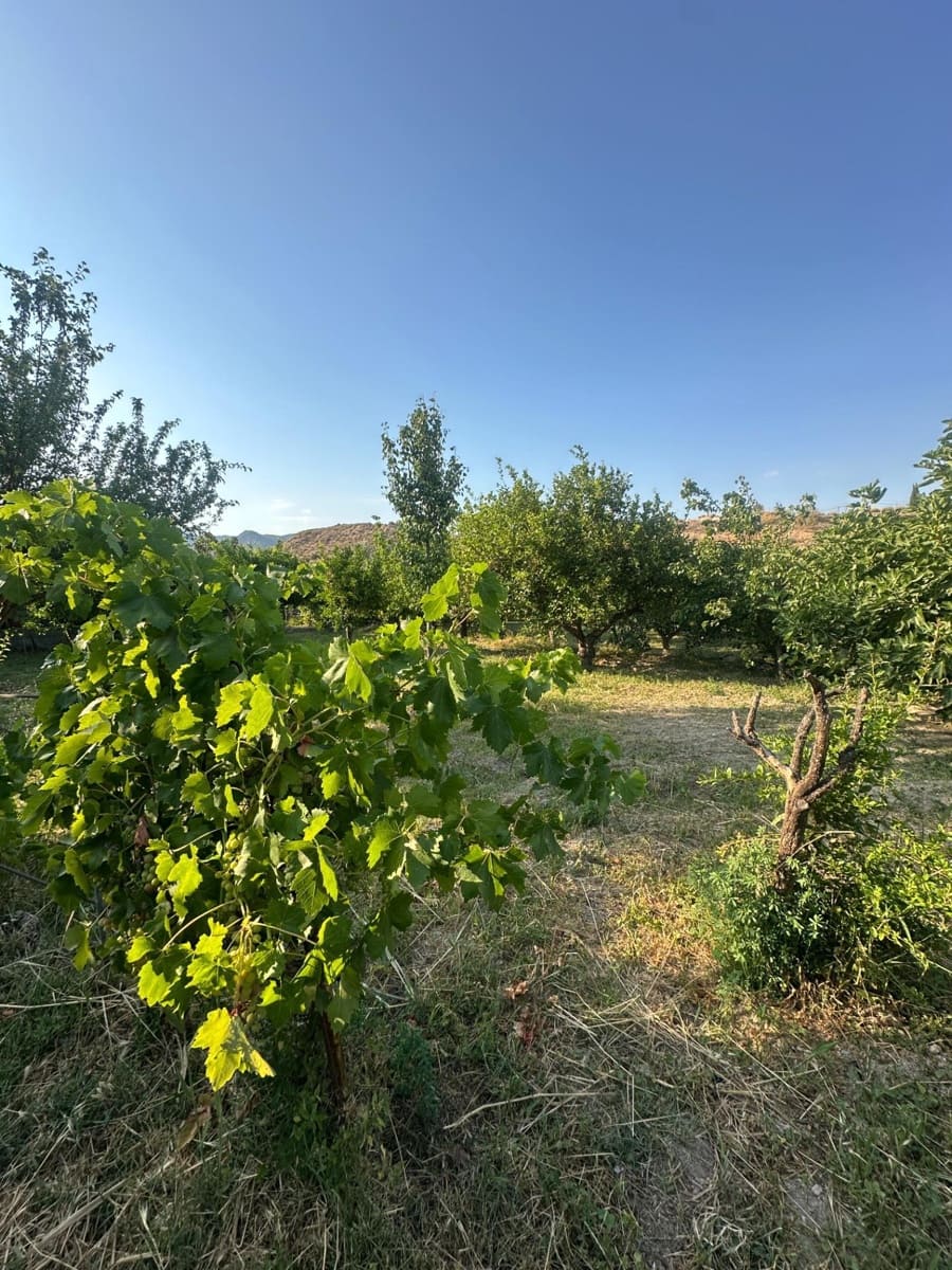 Finca/Casa Rural de 1 habitación en Olula del Río en venta - 53.000 € (Ref: 10021026)