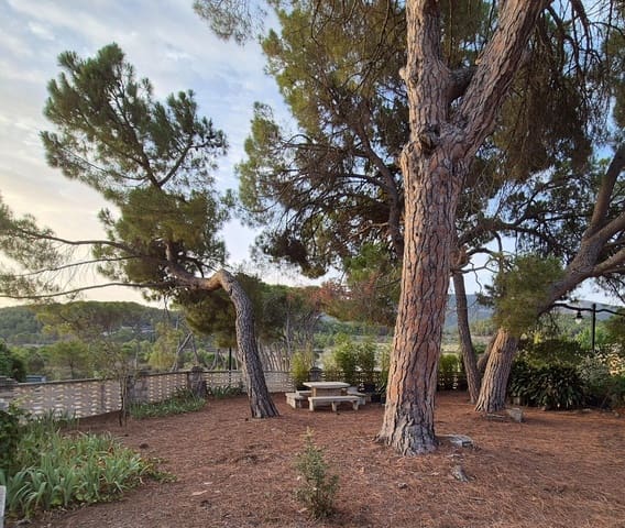 6 quarto Moradia para venda em Alcoy / Alcoi com piscina garagem - 460 000 € (Ref: 8905949)