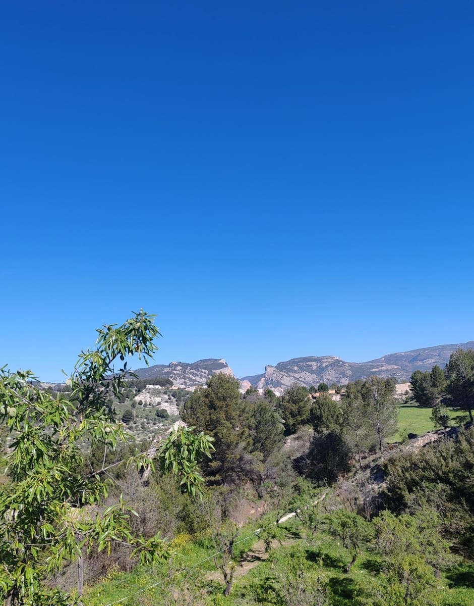 6 soveværelse Finca/Landehus til salg i Alcoy / Alcoi med swimmingpool garage - € 750.000 (Ref: 8937062)