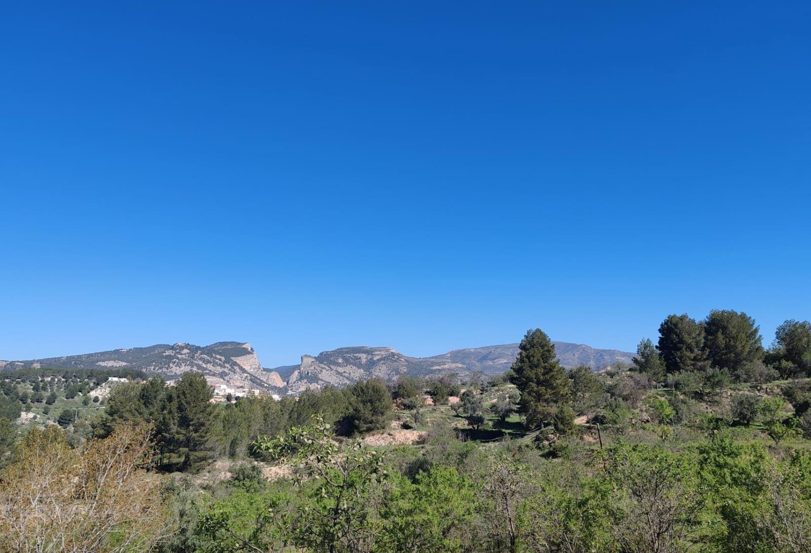 6 soveværelse Finca/Landehus til salg i Alcoy / Alcoi med swimmingpool garage - € 750.000 (Ref: 8937062)