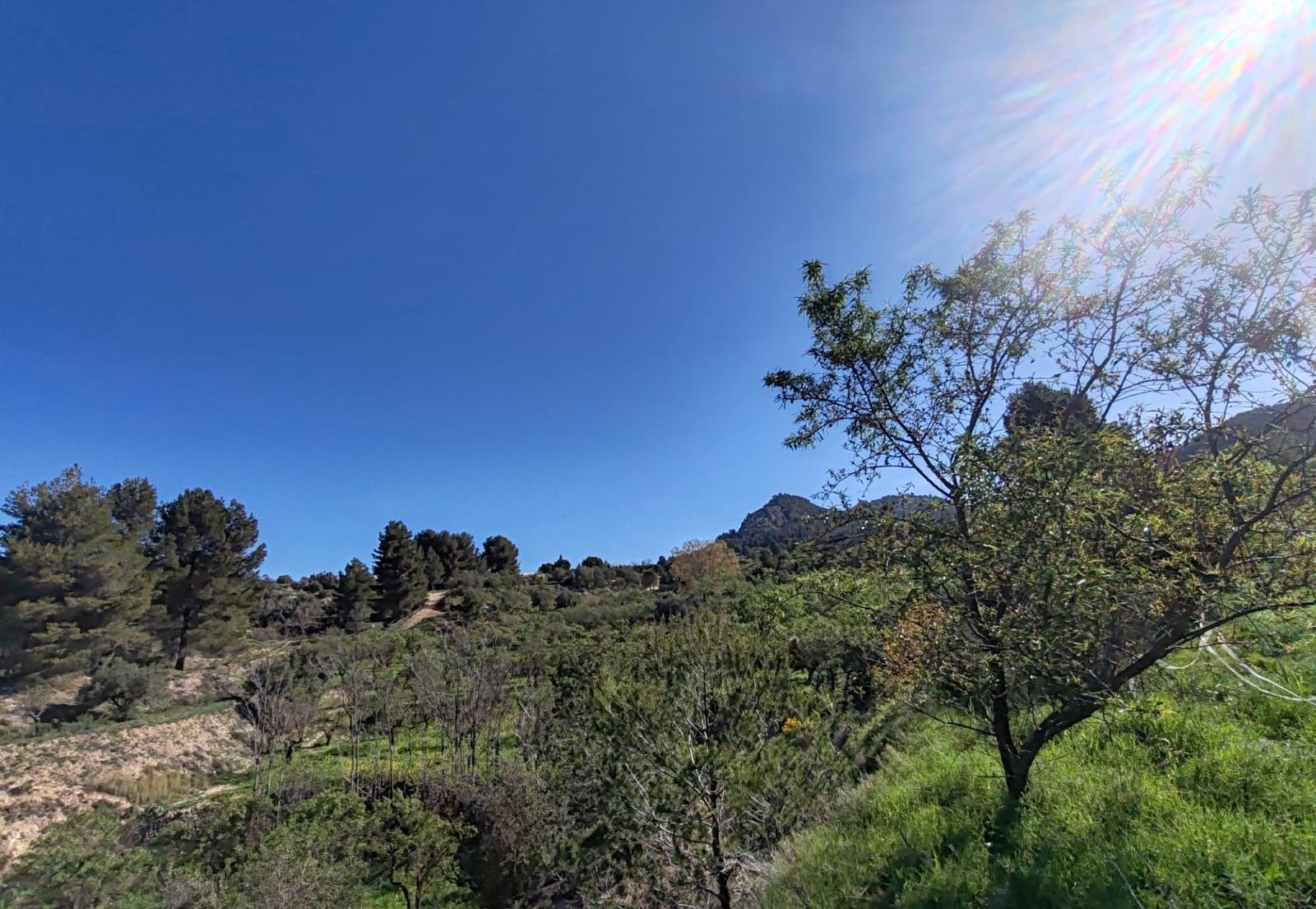 6 soveværelse Finca/Landehus til salg i Alcoy / Alcoi med swimmingpool garage - € 750.000 (Ref: 8937062)