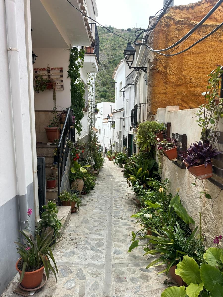 6 bedroom Townhouse for sale in Sierro - € 40,000 (Ref: 8998792)