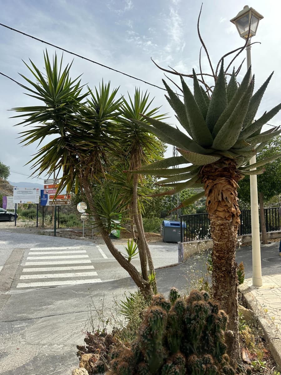 4 soveværelse Rækkehus til salg i Urracal med garage - € 130.000 (Ref: 9137269)