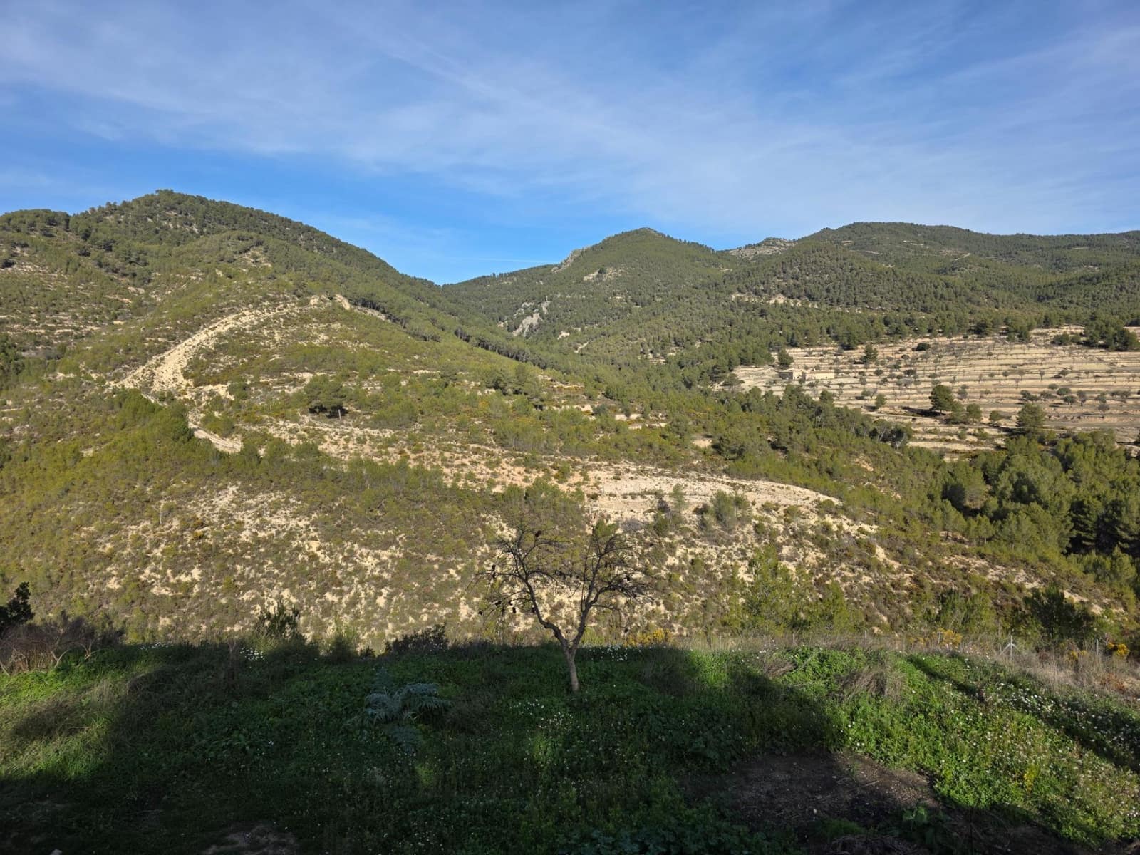 2 sypialnia Finka/Dom wiejski na sprzedaż w Torremanzanas z basenem - 220 000 € (Ref: 9509060)