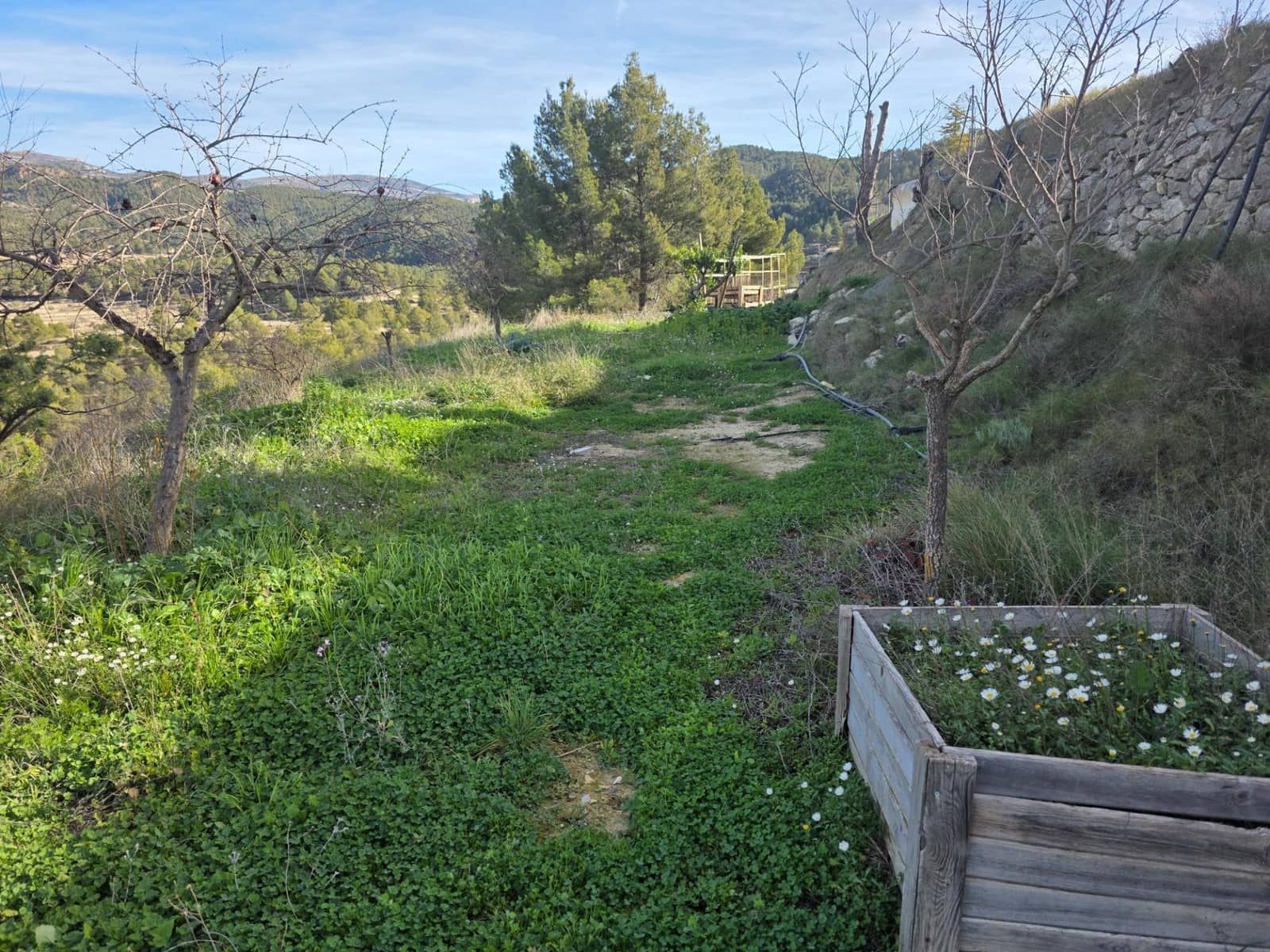 2 sypialnia Finka/Dom wiejski na sprzedaż w Torremanzanas z basenem - 220 000 € (Ref: 9509060)