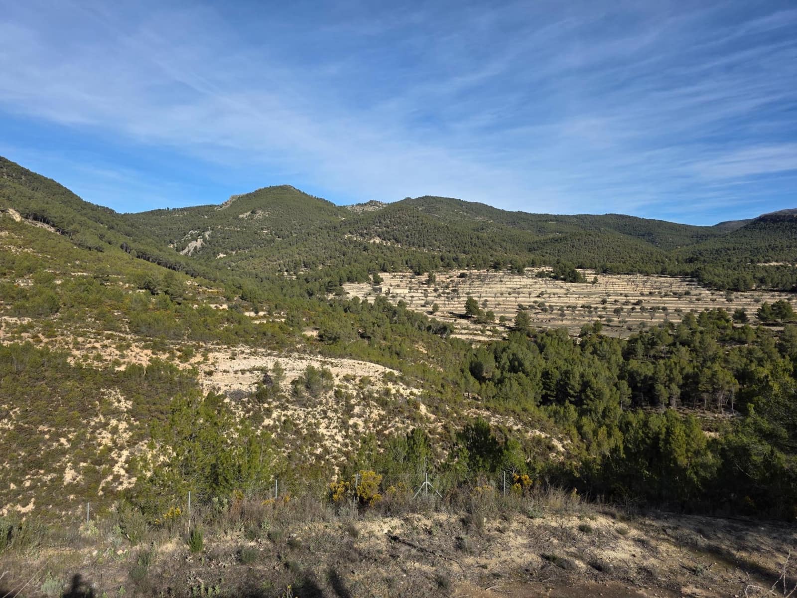 2 sypialnia Finka/Dom wiejski na sprzedaż w Torremanzanas z basenem - 220 000 € (Ref: 9509060)