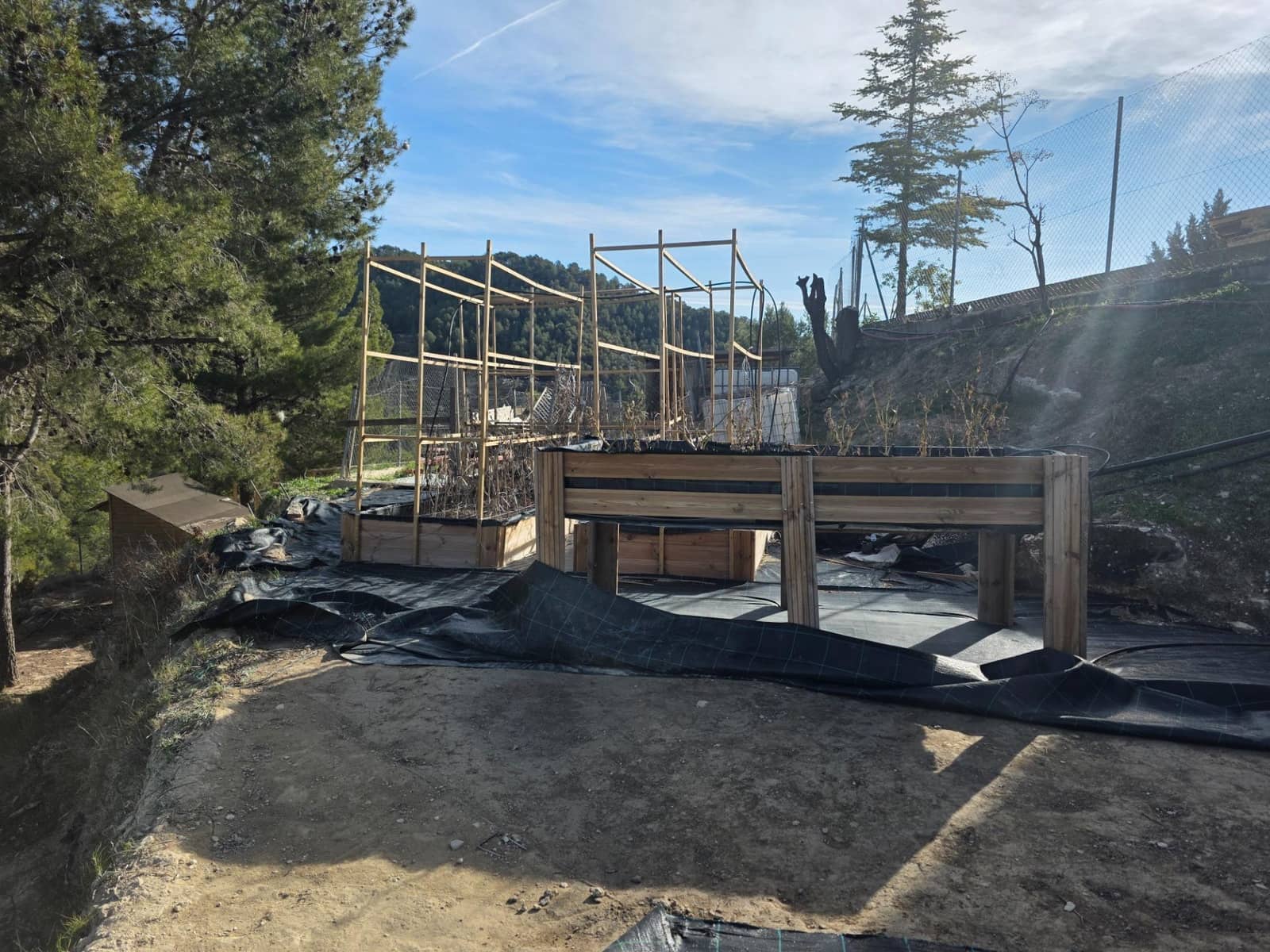 2 sypialnia Finka/Dom wiejski na sprzedaż w Torremanzanas z basenem - 220 000 € (Ref: 9509060)