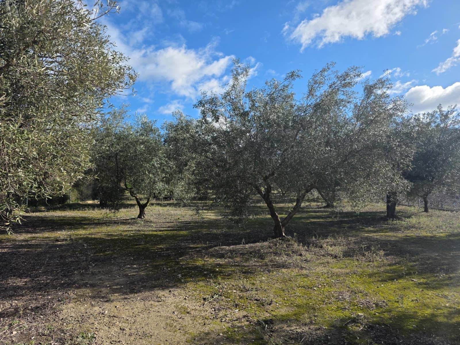 3 bedroom Finca/Country House for sale in Gorga with pool garage - € 380,000 (Ref: 9541741)