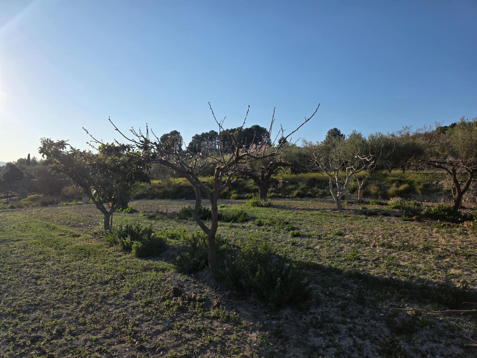 8 chambre Finca/Maison de Campagne à vendre à Gorga - 200 000 € (Ref: 9670791)