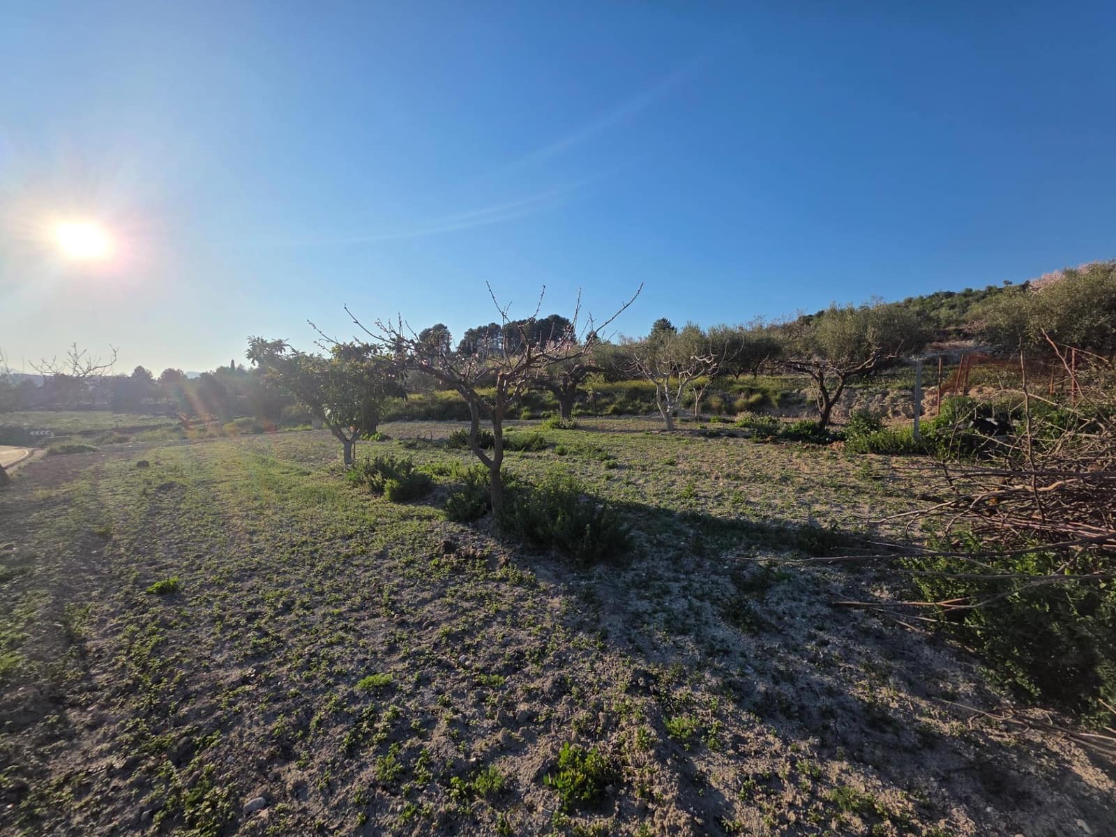 8 chambre Finca/Maison de Campagne à vendre à Gorga - 200 000 € (Ref: 9670791)