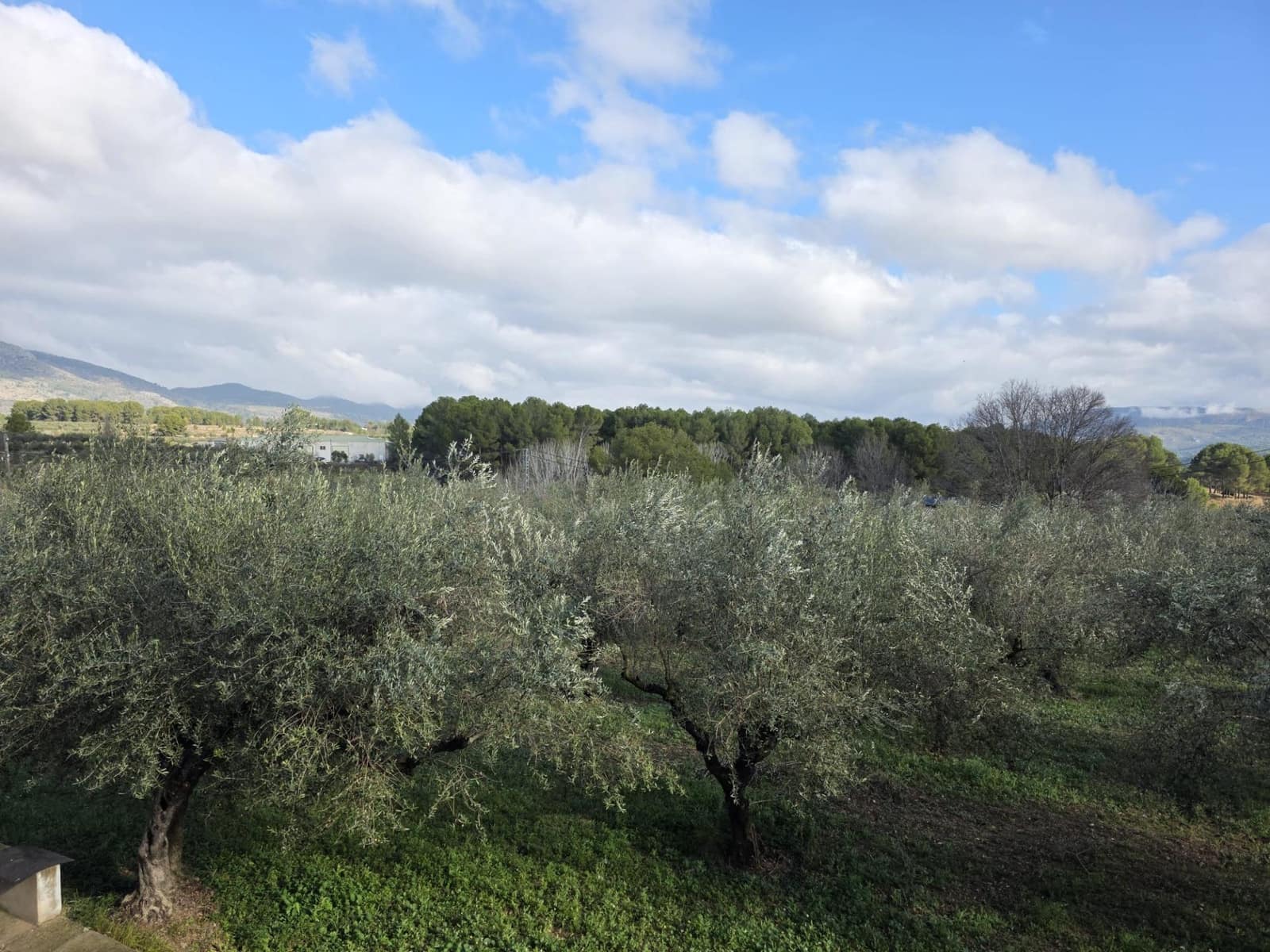 5 bedroom Townhouse for sale in Alcocer de Planes - € 260,000 (Ref: 9738936)