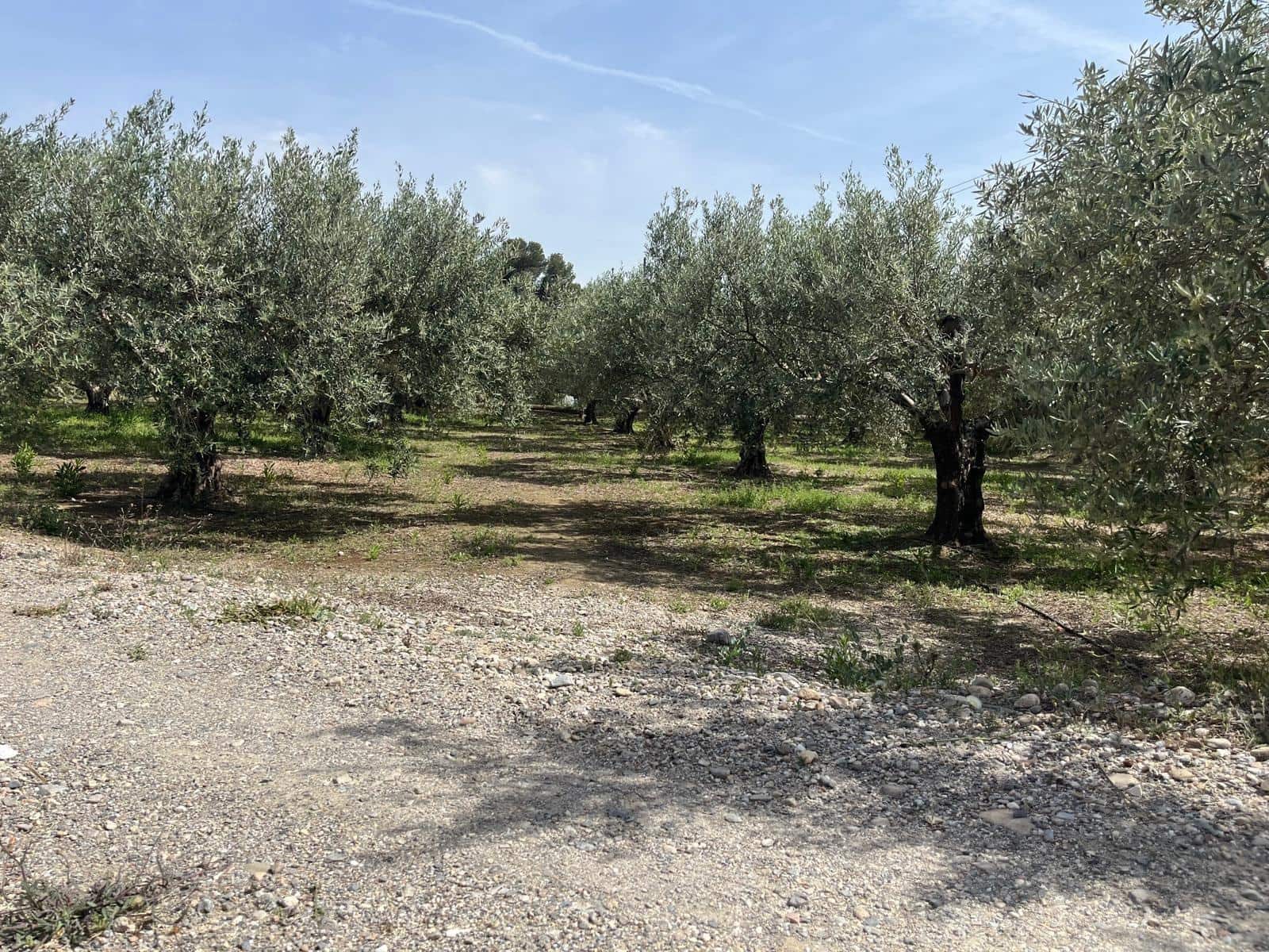 4 bedroom Finca/Country House for sale in Fines with garage - € 250,000 (Ref: 9826670)