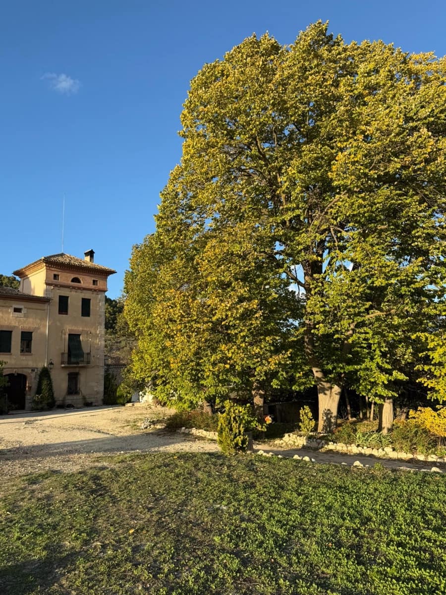 8 bedroom Villa for sale in Alcoy / Alcoi with garage - € 2,100,000 (Ref: 9833780)