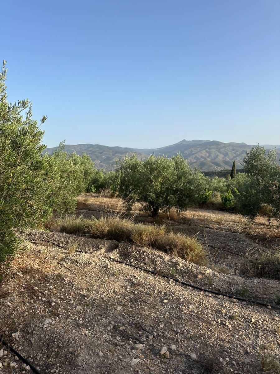 1 bedroom Finca/Country House for sale in Somontin with garage - € 75,000 (Ref: 9920542)