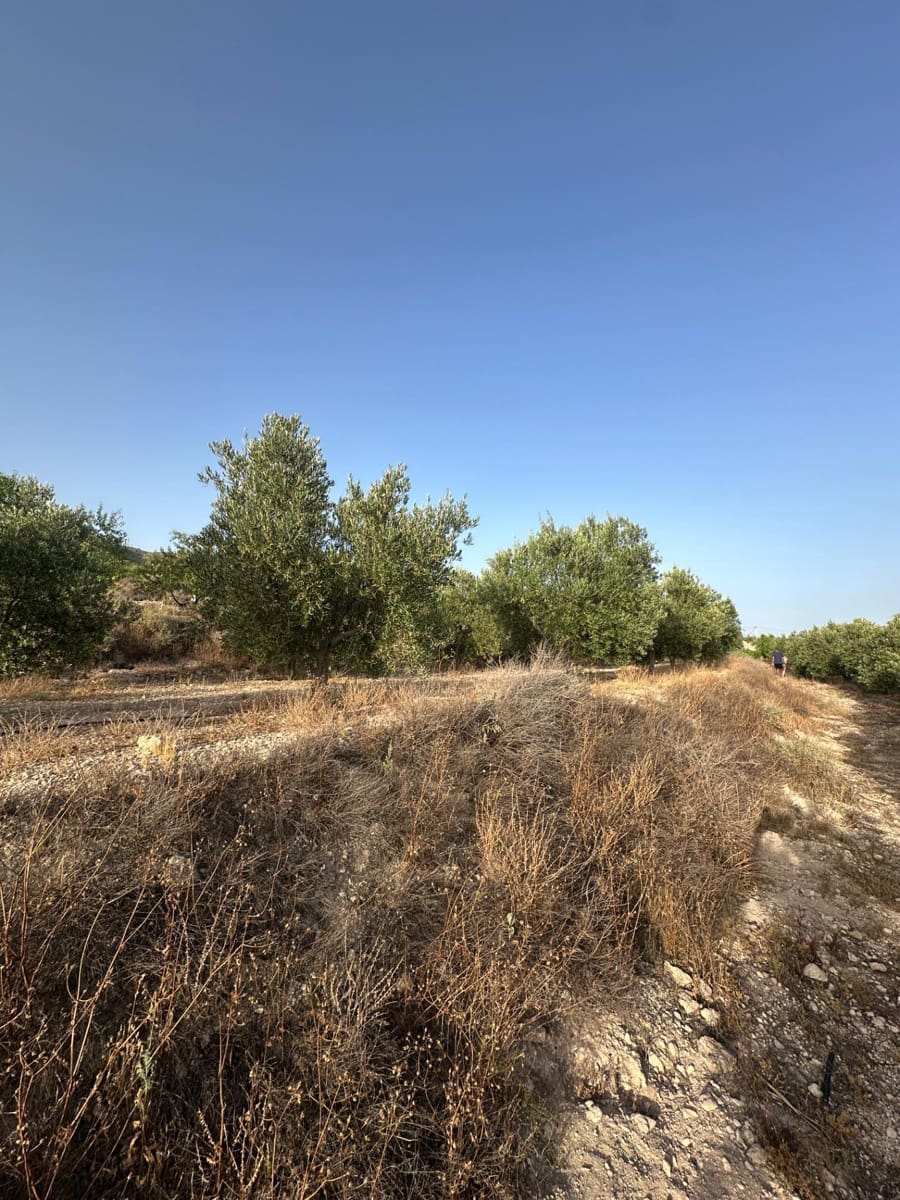 1 bedroom Finca/Country House for sale in Somontin with garage - € 75,000 (Ref: 9920542)
