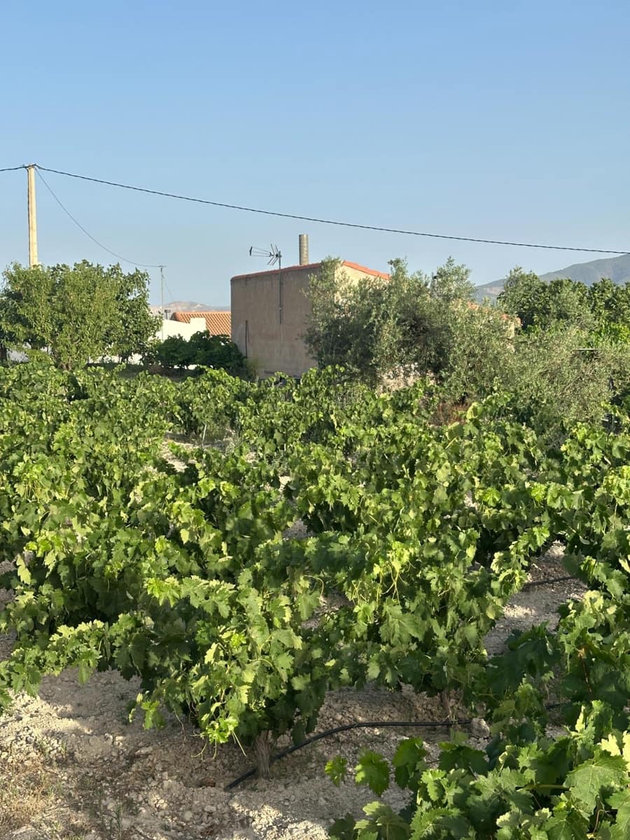 1 bedroom Finca/Country House for sale in Somontin with garage - € 75,000 (Ref: 9920542)