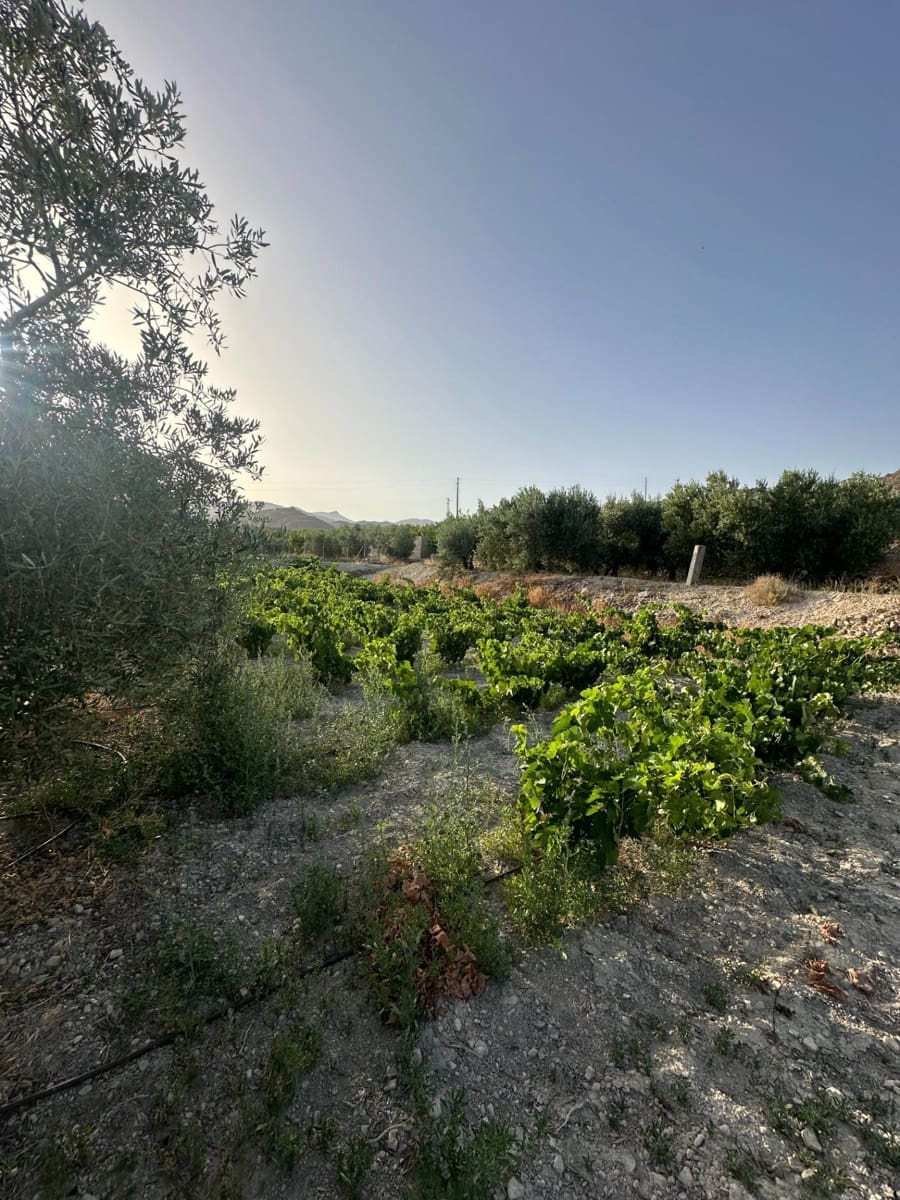 1 bedroom Finca/Country House for sale in Somontin with garage - € 75,000 (Ref: 9920542)