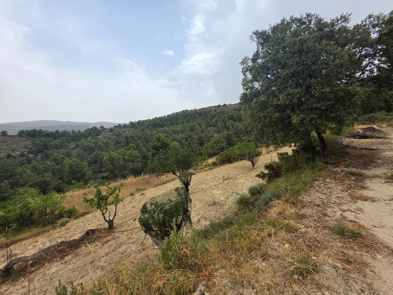2 chambre Finca/Maison de Campagne à vendre à Ibi - 150 000 € (Ref: 9998900)