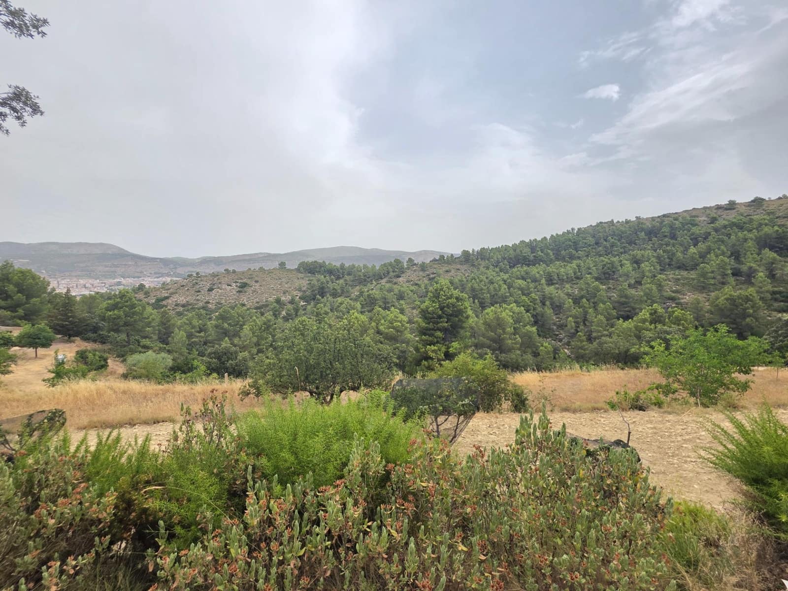 2 chambre Finca/Maison de Campagne à vendre à Ibi - 150 000 € (Ref: 9998900)