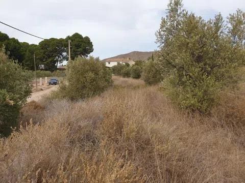 Building Plot for sale in Tobarra - € 13,700 (Ref: 10120242)