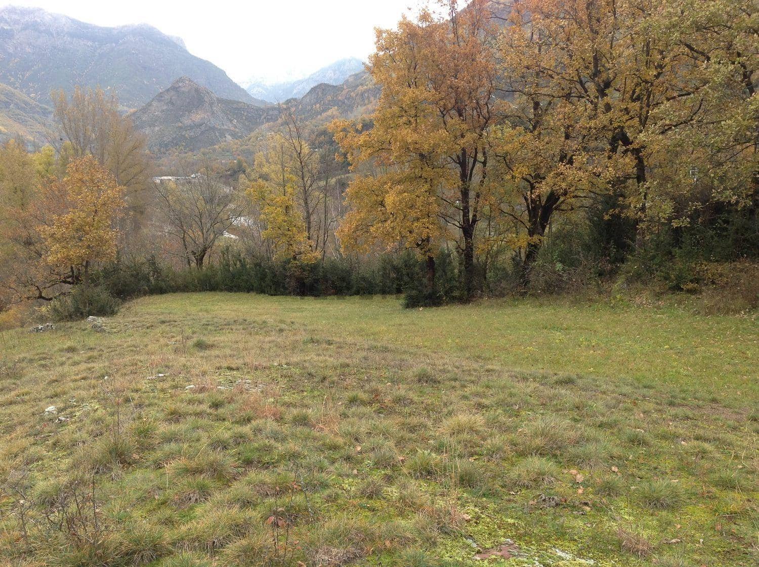 Terreno/Finca Rústica en Villanova en venta - 52.700 € (Ref: 10142664)