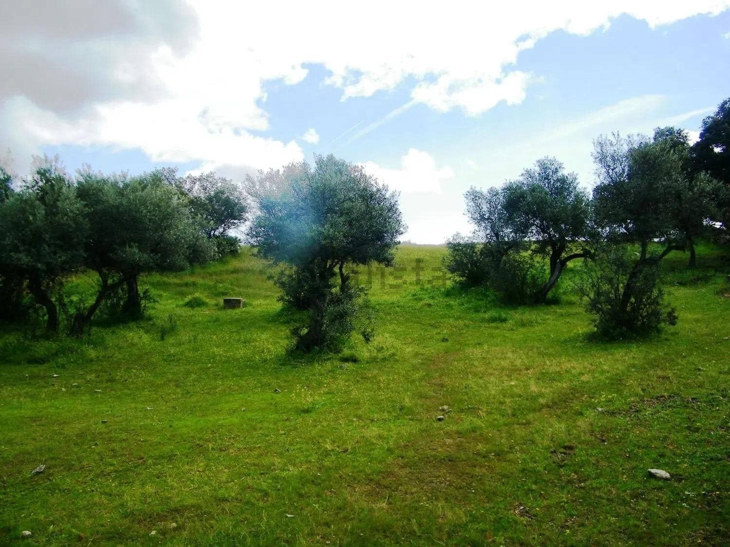 Building Plot for sale in Belvis de Monroy - € 372,600 (Ref: 10168753)