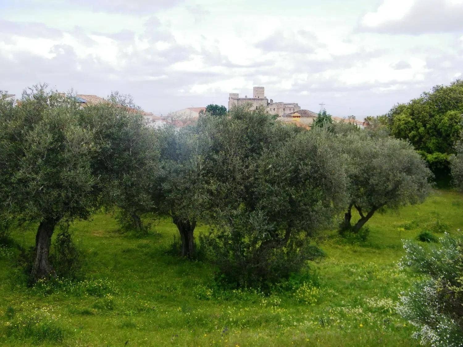Building Plot for sale in Belvis de Monroy - € 372,600 (Ref: 10168753)