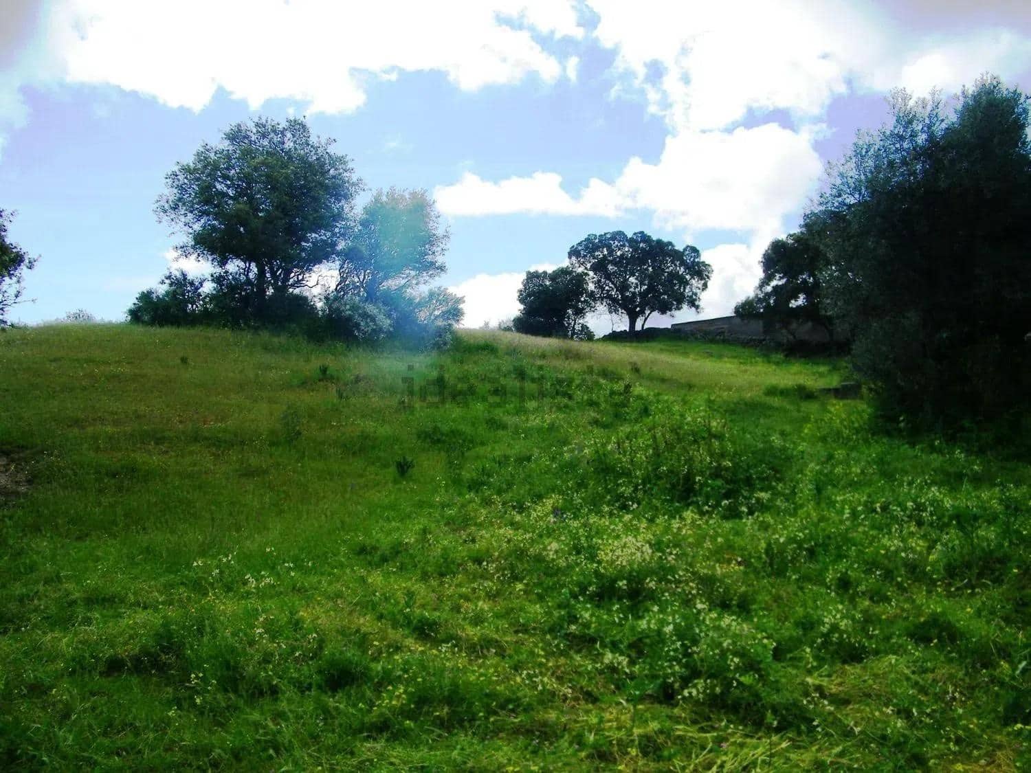 Building Plot for sale in Belvis de Monroy - € 372,600 (Ref: 10168753)