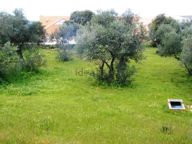 Building Plot for sale in Belvís de Monroy - € 372,600 (Ref: 10168753)