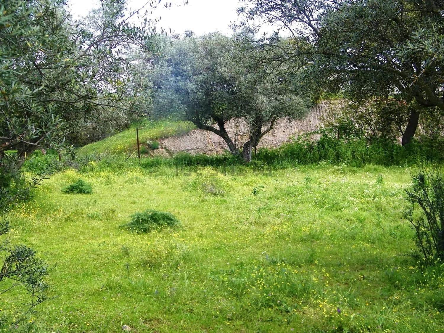 Building Plot for sale in Belvis de Monroy - € 372,600 (Ref: 10168753)