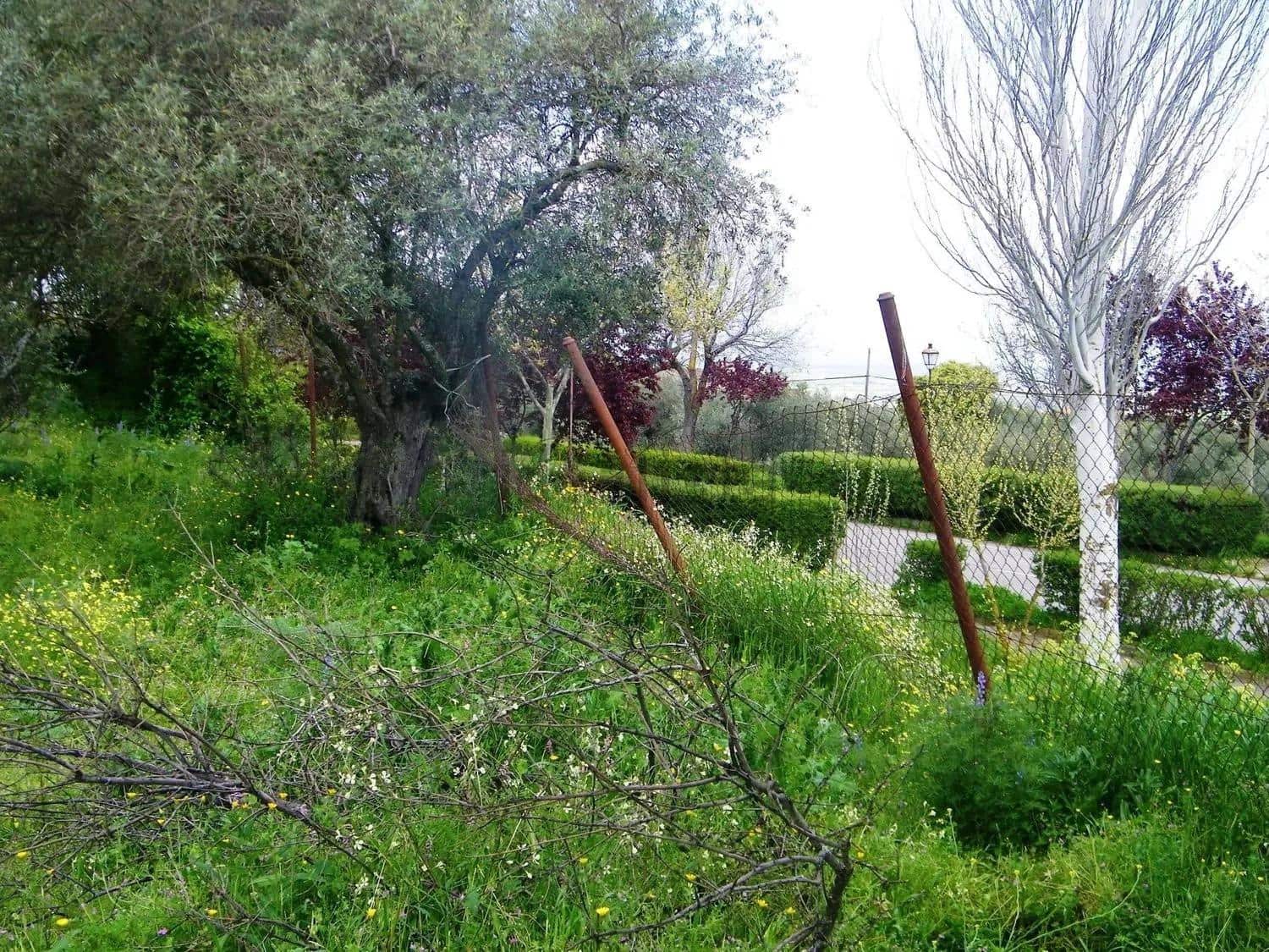 Building Plot for sale in Belvis de Monroy - € 372,600 (Ref: 10168753)