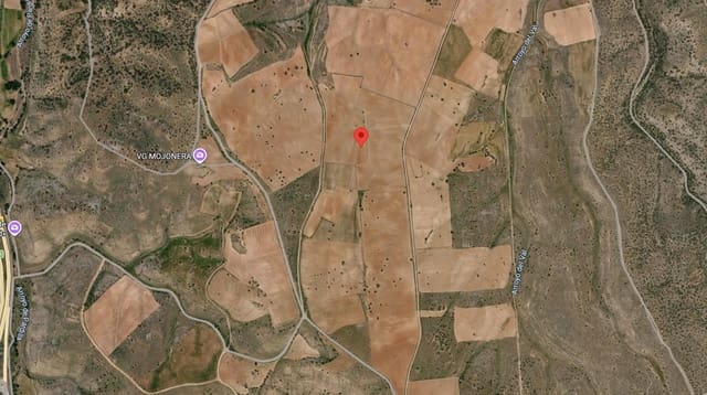 Undeveloped Land for sale in Honrubia de la Cuesta - € 1,000,000 (Ref: 10184993)