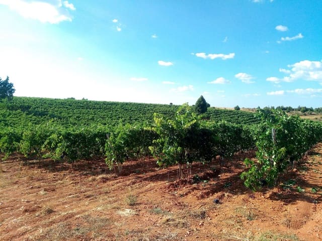 Undeveloped Land for sale in Honrubia de la Cuesta - € 1,000,000 (Ref: 10184993)
