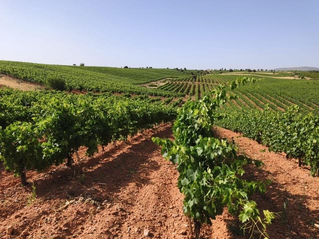 Undeveloped Land for sale in Honrubia de la Cuesta - € 1,000,000 (Ref: 10184993)