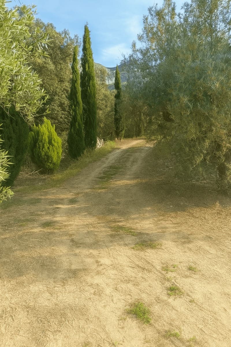 Villa til salg i Vall de Gallinera - € 79.000 (Ref: 9168823)