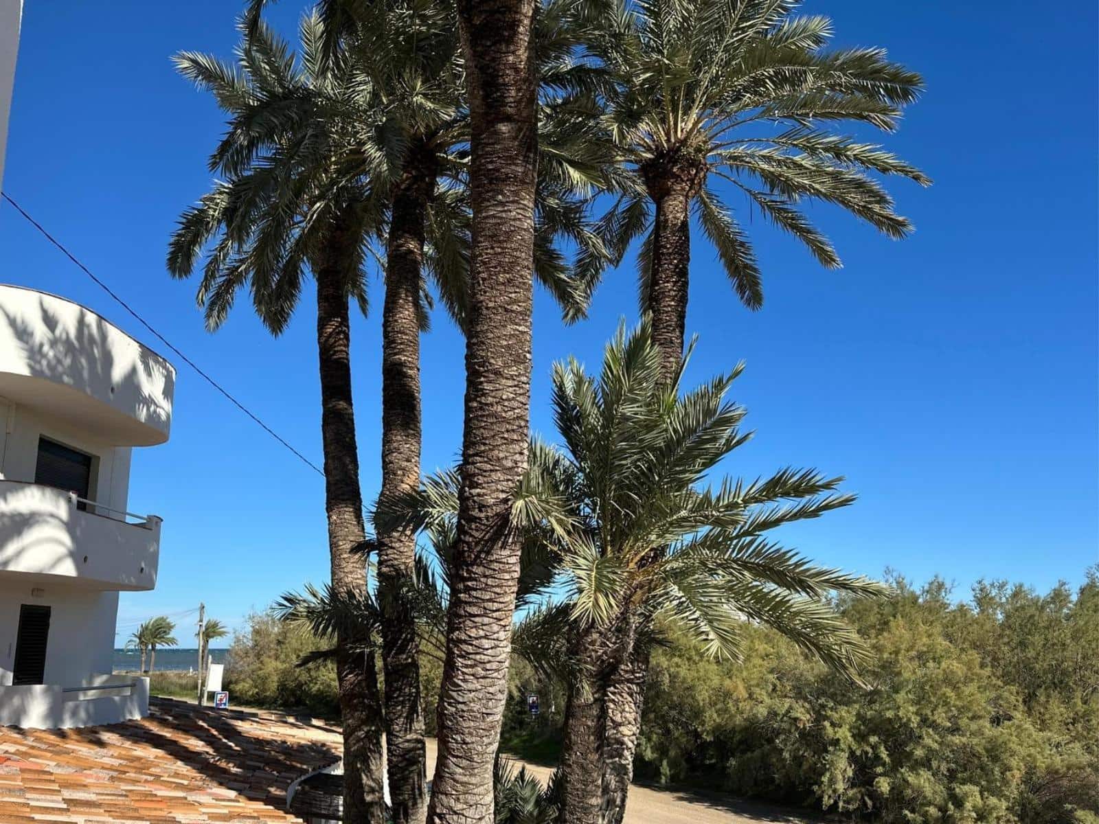2 soverom Leilighet til salgs i Denia - € 305 000 (Ref: 9847514)