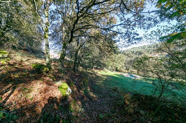 8 quarto Hotel para venda em Fornelos com piscina - 470 000 € (Ref: 8932684)