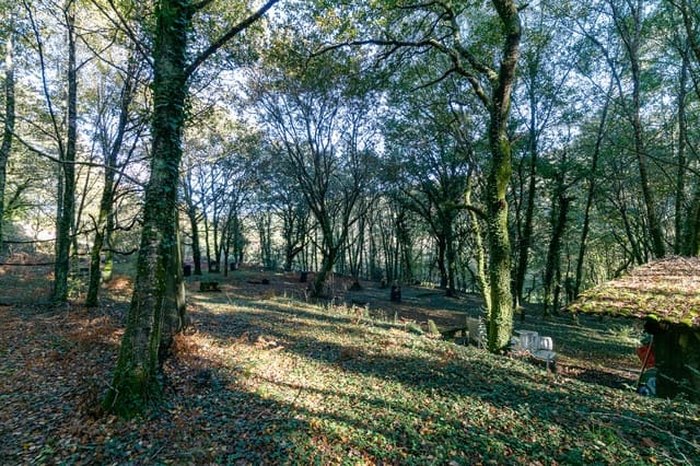 8 quarto Hotel para venda em Fornelos com piscina - 470 000 € (Ref: 8932684)